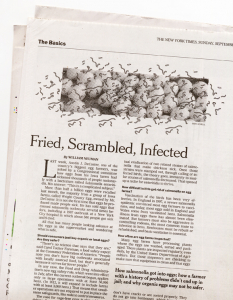 https://erinschell.com/files/gimgs/th-60_70_eggs065_v2.jpeg